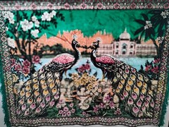 Stunning Peacock Pattern Velvet Rug 56”x40” Wall Hanging Sofa Tapestry Vintage