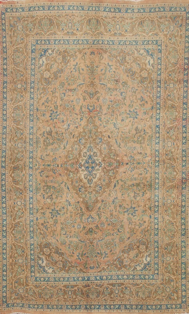 Traditional Vintage Floral Area Rug 6x9 Hand-knotted Wool Room Size Carpet