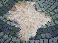 Angora Goat Leather Goatskin Fur 2 x 3 ft Pelt Hide 100% Natural Goat Skin Rug