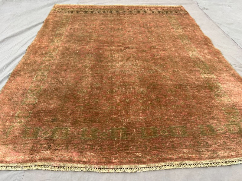 Antique Turkmen Bashiri Rug | Hand-Knotted, Rare Terracotta Faded Bedroom Rug gallery