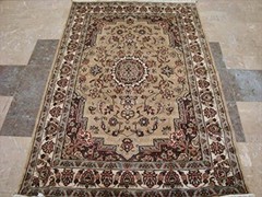 Area Rug Beige Tan Beauty Floral Oriental Hand Knotted Wool Silk Carpet (6 x 4)’