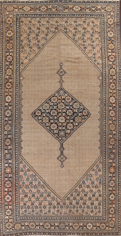Pre-1900 Antique Vegetable Dye Bibikabad Oriental Area Rug Hand-knotted 10'x16'