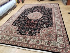 10×14 CHINESE RUG SILK & WOOL SINO AUBUSSON IVORY 100% WOOL ORIENTAL FINE RUG