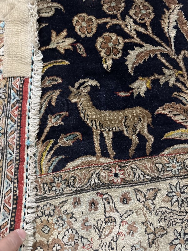 carpet gallery
