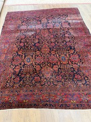 ANTIQUE SAROUK MOHAJERAN RUG 9 X 11.2 CIRCA 1900 RARE