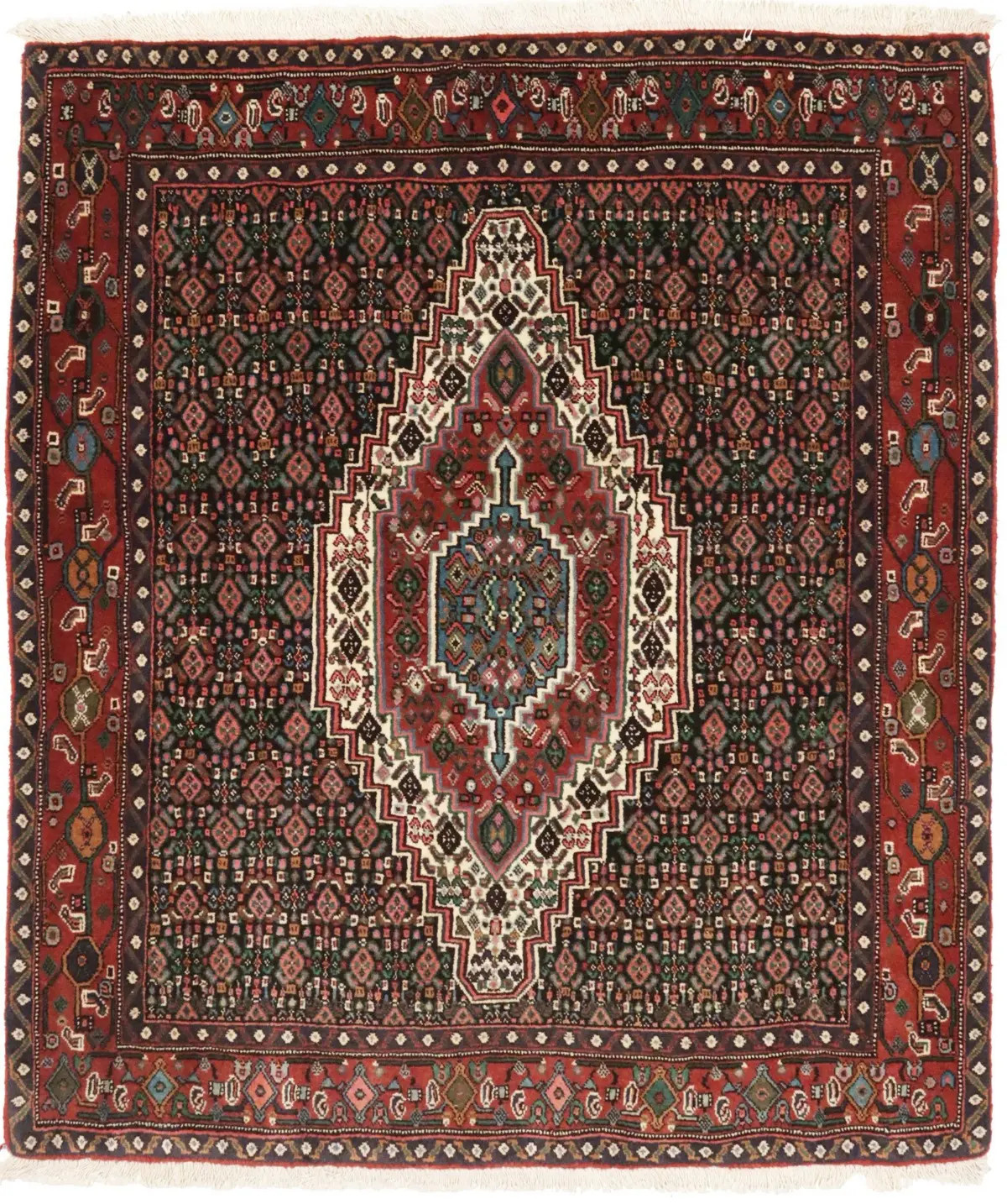 One of a Kind Floral Design Handmade 4X5 Bidjar Oriental Rug Plush Decor Carpet gallery
