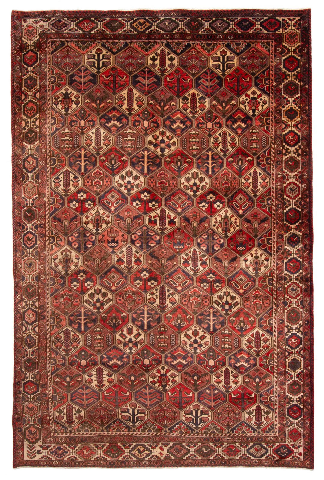 Vintage 6'8" x 10'1" Traditional Hand Knotted Vegetable Dye Wool Area Rug gallery