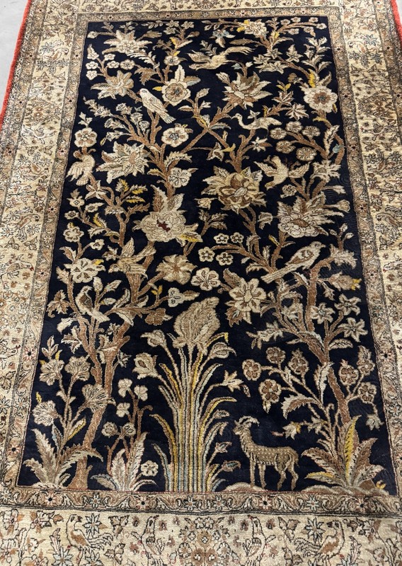 carpet gallery