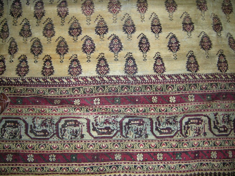 Antique Amristar genuine Indian carpet 9x12 (8'8"x11'4") natural dyes circa 1890 gallery