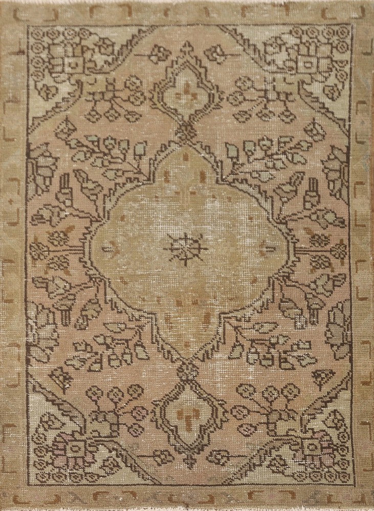 Muted Distressed Traditional Wool Rug Vintage Hand-made Foyer Carpet 3x5
