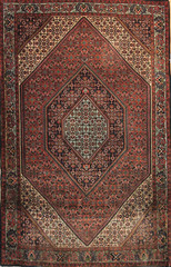 Stunning One of a Kind Hand Knotted Rust Salmon Color Bidjarr 4 x 6 Rug