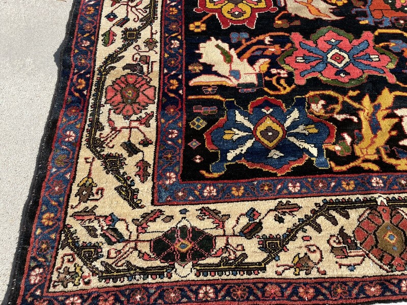 Antique Tribal Bakhtiari Oriental Rug gallery