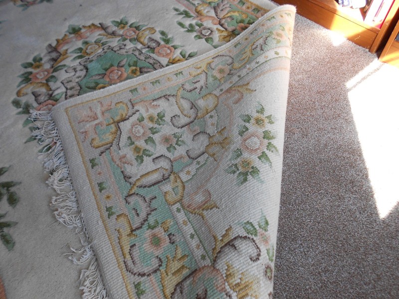 MAGNIFICENT Chinese Hand Carved Wool Rug - 6x6, FREE US Continental SHIPPING! gallery