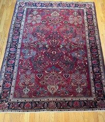 Antique Sarouk Rug (6’1 x 4’5) Museum Grade Hand Knotted, Exceptional Weave