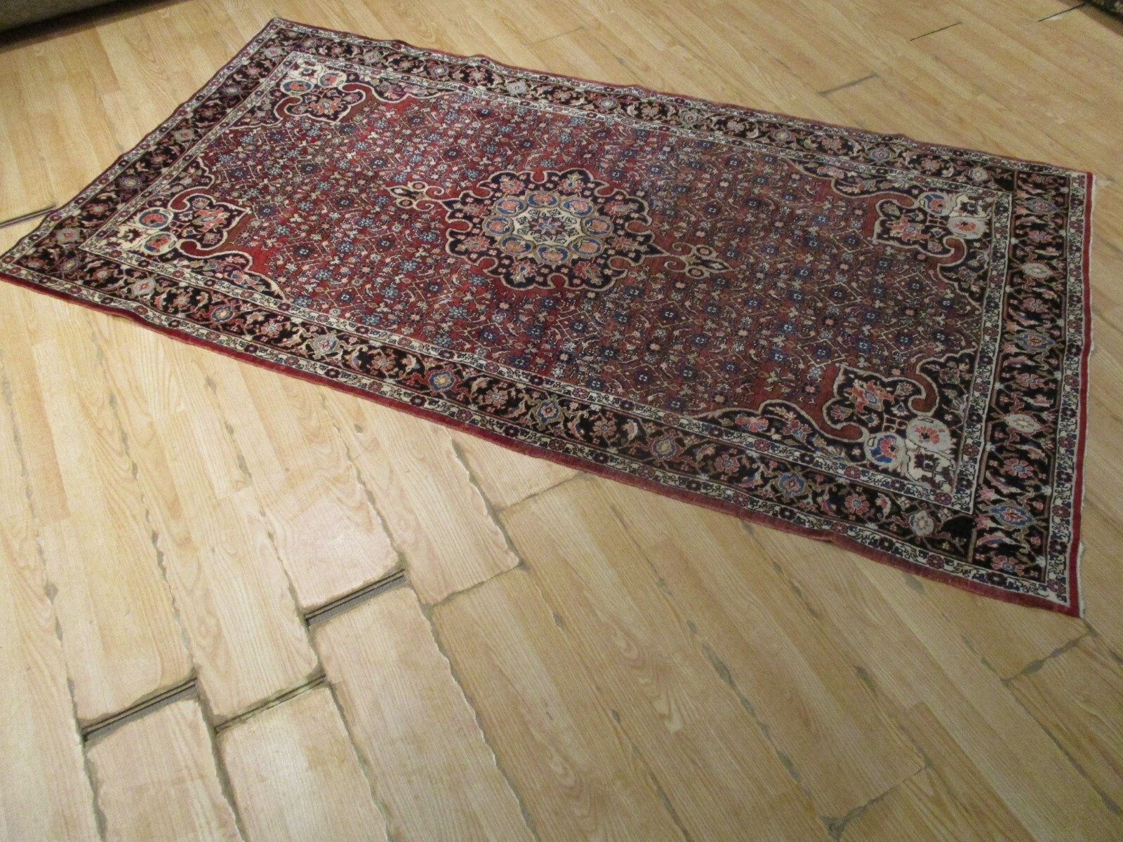 ESTATE ANTIQUE Circa 1900 4x8 KURDISH-BIDJAR HANDMADE-KNOTTED WOOL RUG 582858 gallery