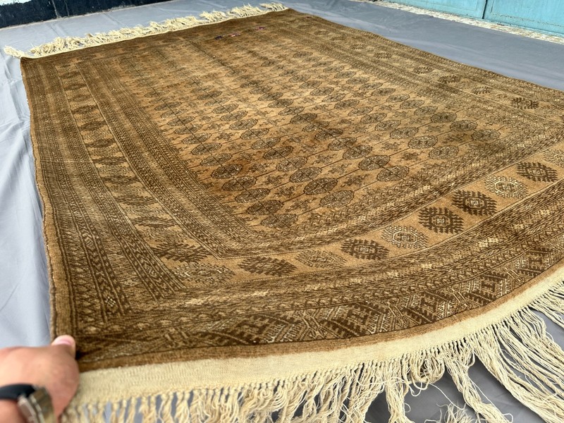 Afghan Turkmen Bukhara Vintage Brown Traditional Handmade Area Rug 9.4 x 6.6 ft gallery
