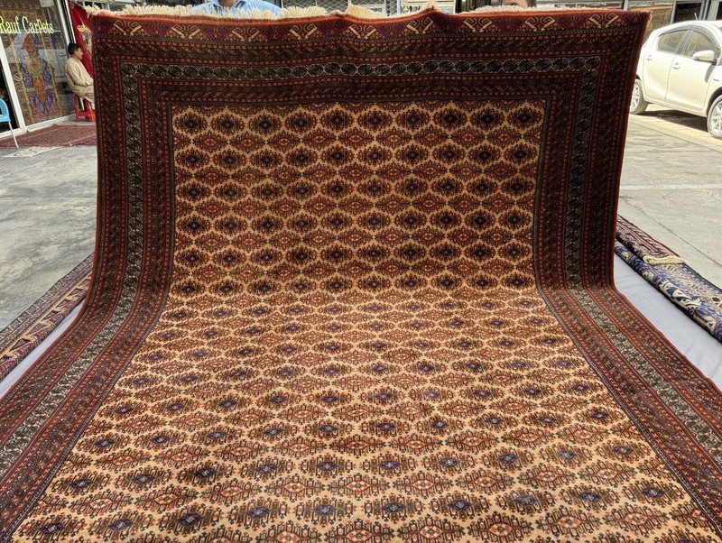 Fine Hand Knotted Afghan Sarooq Rug 10x13 Antique Persian Style Oriental Carpet gallery