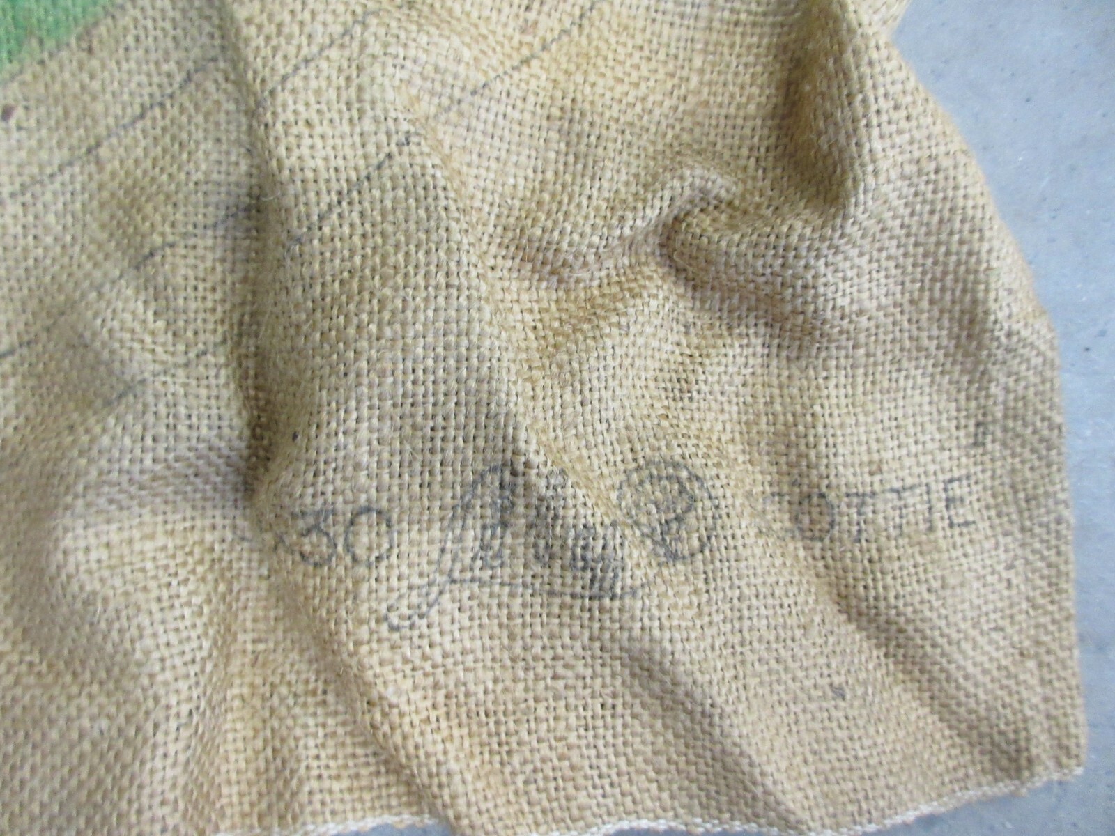 Antique Lily Scottie Dog Rug Hooking Burlap Pattern 30" X 30" gallery