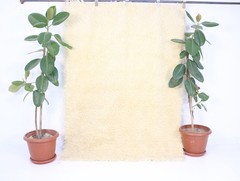 Sheepskin Vintage Hand Knotted Area Rug Beige Cream Beni Ourain Style Shag 5×6