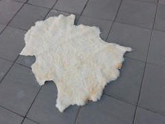 Organic Long-Haired Creamy / Off-White Tones Sheep Skin Carpet, Lambskin Rug DUS