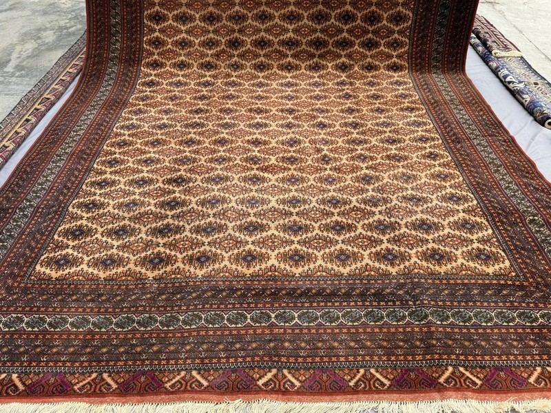 Fine Hand Knotted Afghan Sarooq Rug 10x13 Antique Persian Style Oriental Carpet gallery
