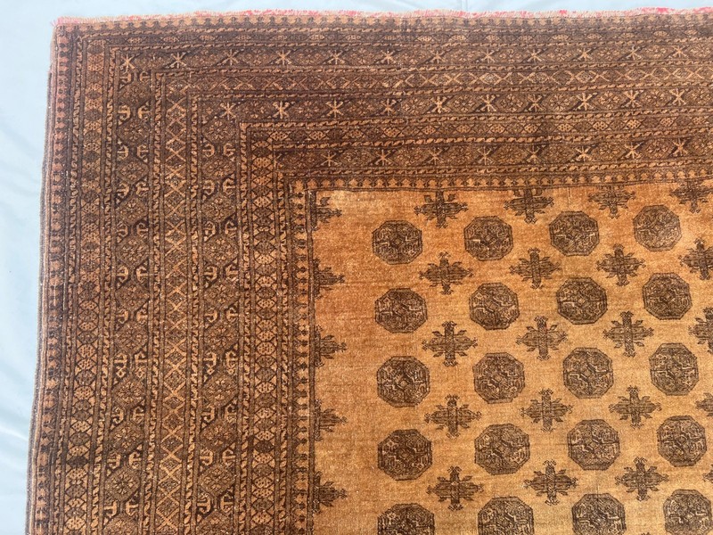 Antique Turkmen Bukhara Rug, 7x10 Hand Knotted Low Pile Tribal Living Room Rug gallery