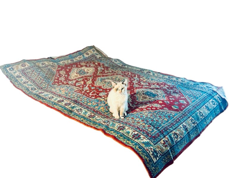 Antique 1930s Chenille Rug Medallion Velvet Carpet 4x6 Moody Maximalist gallery