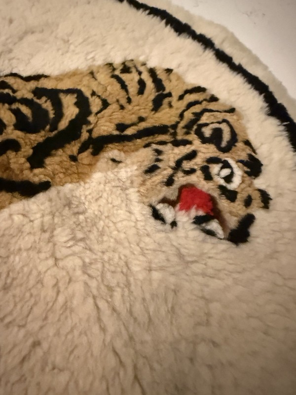 1920-1930s Wool Peking Small Rug From China With Tiger Motif gallery