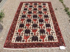 5x8ft. Amazing Afghan Bird and Animal Wool Rug