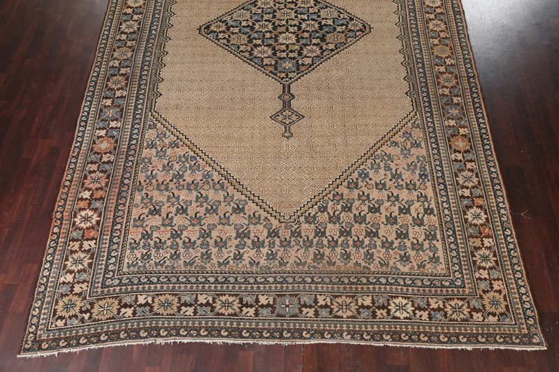 Pre-1900 Antique Vegetable Dye Bibikabad Oriental Area Rug Hand-knotted 10'x16' gallery