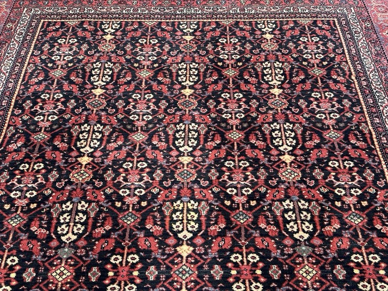 AUTHENTIC MINT WILLIAMSBURG KARASTAN CARTERS GROVE RUG 8.2x11.7 PATTERN #554 gallery