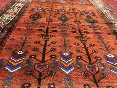 4 X 7.8 COLLECTORS’ ITEM Vintage Tree of Life Tribal Belouch Nomad Rug