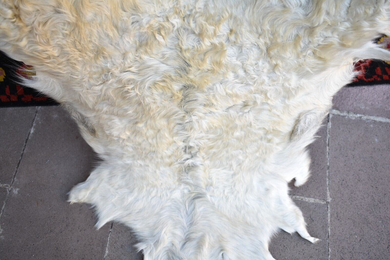Angora Goat Leather Fur 2 x 3 ft Goatskin Pelt Hide 100% Natural Goat Skin Rug gallery