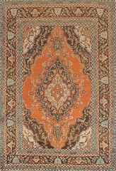 Traditional Orange Wool Handmade Room Size Area Rug 6×9 Oriental Floral Carpet