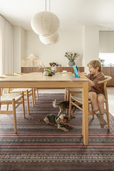 Modern Striped Area Rug with Tribal Detail – 7’6″x9’6″, Kid & Pet Friendly
