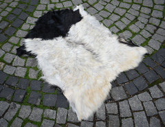 Angora Goat Leather Goatskin Fur 2 x 3 ft Pelt Hide 100% Natural Goat Skin Rug