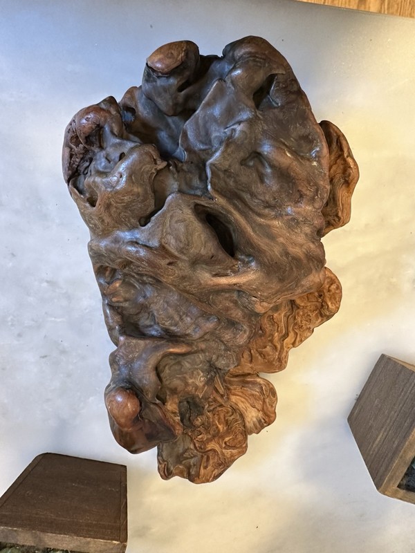 Beautiful Vintage Natural Burl Wood Sculpture 9"x5.5"x2" gallery