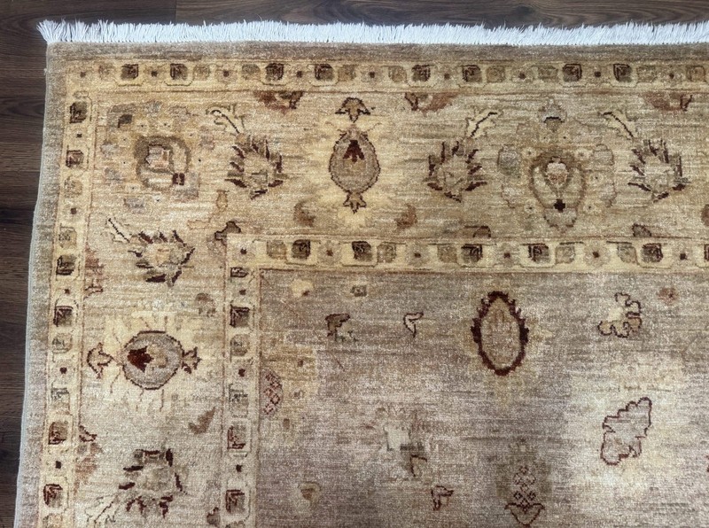 Pakistani Peshawar Rug 8x11 Indo Mahal Traditional Wool Oriental Carpet gallery