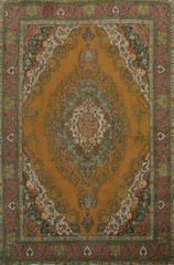 Vintage Wool Orange Traditional Medallion Handmade Living Room Area Rug 9×12