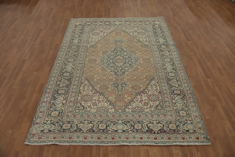 Orange Vegetable Dye Traditional Geometric Area Rug 7x10 ft Hand-knotted Wool gallery