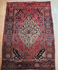 Mid 19th C. Antique 3 X 5 Farahan Sarouk Rug Ivory Salmon Aquamarine Navy