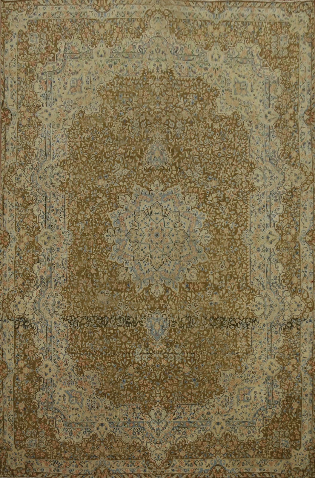 Vegetable Dye Area Rug 10x13 Traditional Hand-knotted Wool Floral Vintage Carpet gallery