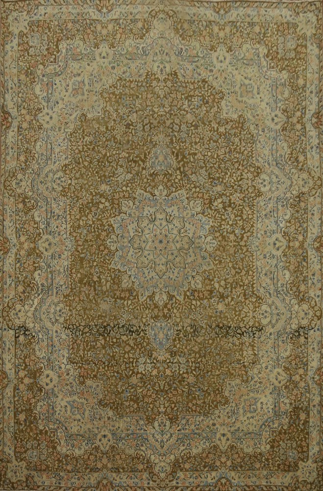 Vegetable Dye Area Rug 10x13 Traditional Hand-knotted Wool Floral Vintage Carpet