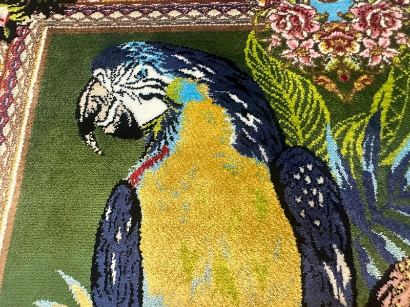Luxury Silk Pictorial Parrot Rug 91x60 Tropical Bird Colorful Home Décor Carpet gallery
