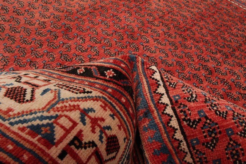 Vintage 5'7" x 10'10" Traditional Hand Knotted Vegetable Dye Wool Area Rug gallery