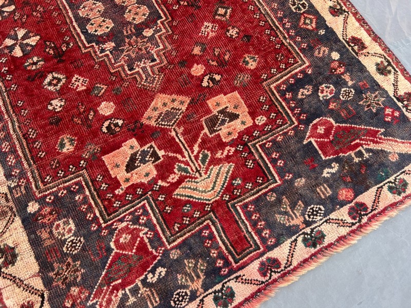 Zanjan Rug 5x6.7 Tribal Geometric Birds Hand Knotted Wool Red Blue Oriental Area gallery