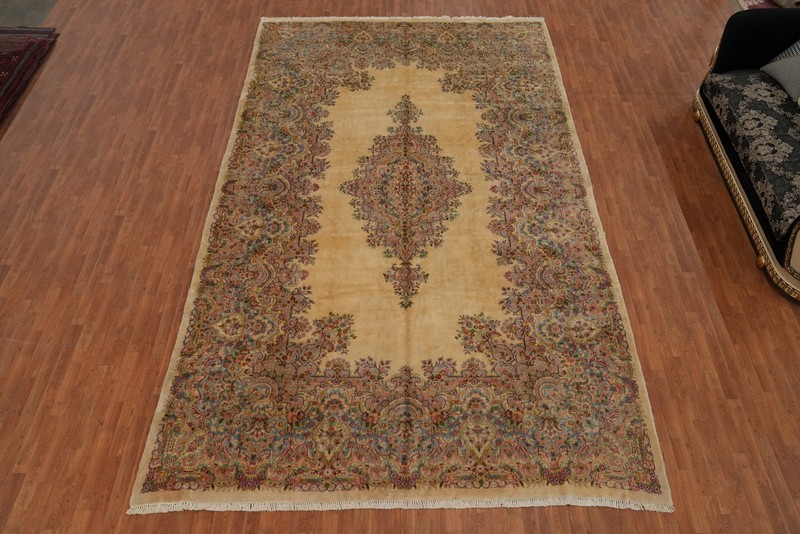 Vegetable Dye Victorian Style Large Rug 10x16 ft Hand-knotted Wool Living Room gallery