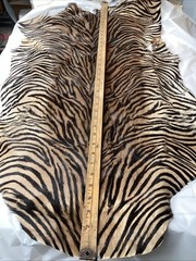 Stenciled Calfskin Vintage Striped Fur 36” X 21”
