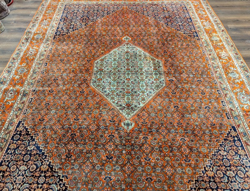 Per'sian Bidjar Rug 8x12, Herati Mahi Pattern, Wool Hand Knotted gallery