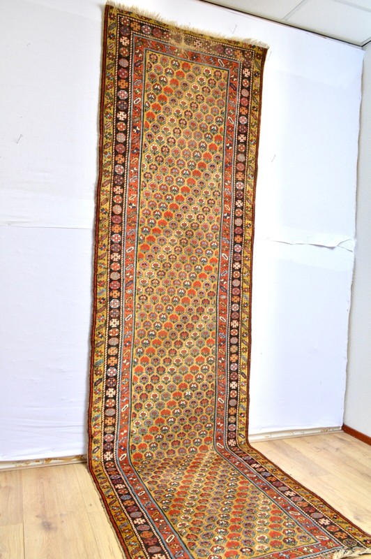 FABULOUS 1880's RARE ANTIQUE SHAHSAVAN TRIBE SOUTH CAUCASIAN LONGRUG KAZAK *** gallery